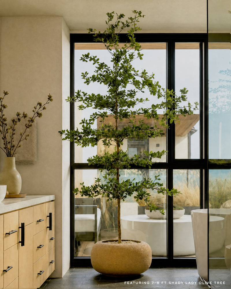 Shady Lady Faux Olive Tree
