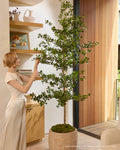 Shady Lady Faux Olive Tree