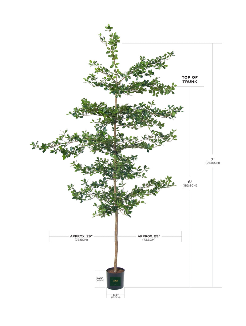 Shady Lady Faux Olive Tree