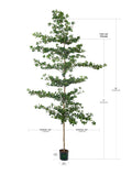 Shady Lady Faux Olive Tree