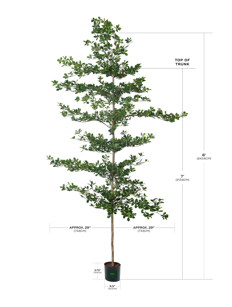 Shady Lady Faux Olive Tree