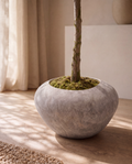 Morro Planter