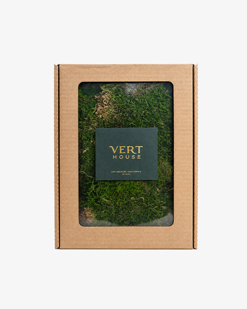 Preserved Sheet Moss
