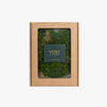 Preserved Sheet Moss