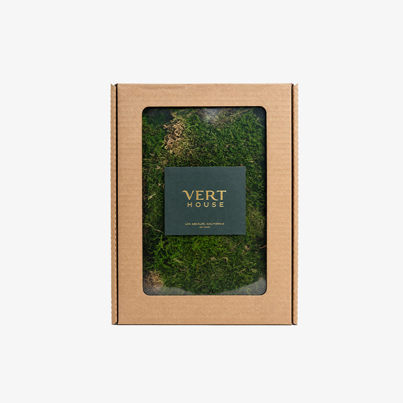 Preserved Sheet Moss