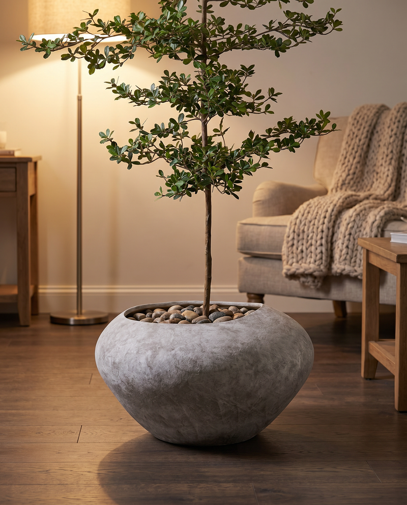 Morro Planter