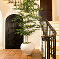 Morro Planter