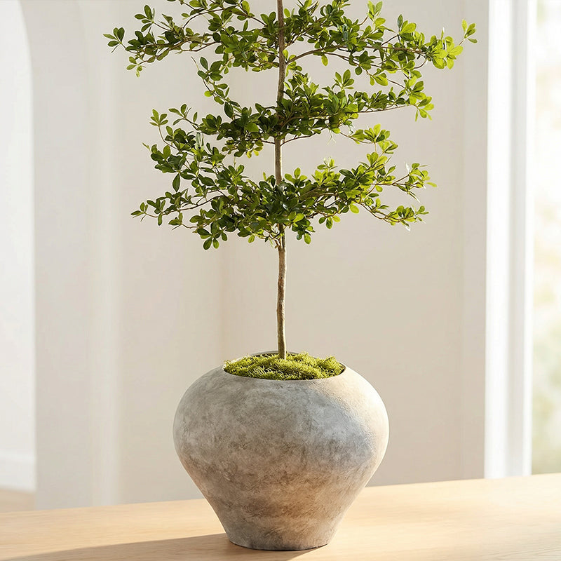 Morro Planter