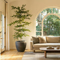 Stele Planter